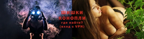 спайс Алзамай