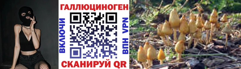 Псилоцибиновые грибы ЛСД  Гдов 